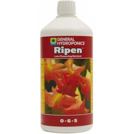 GHE Ripen GHE Ripen